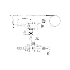 GERMANIA - T1902